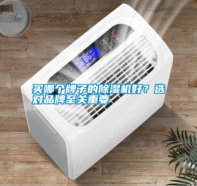 買哪個(gè)牌子的除濕機(jī)好？選對(duì)品牌至關(guān)重要