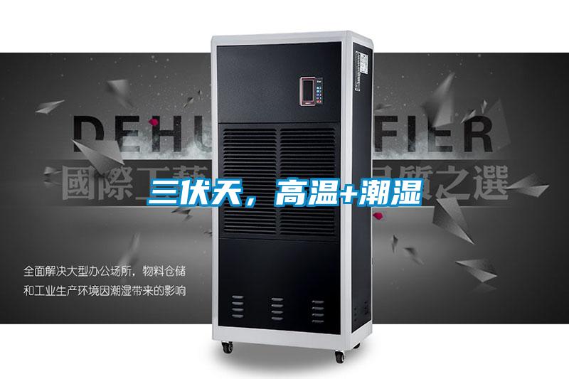 三伏天，高溫+潮濕