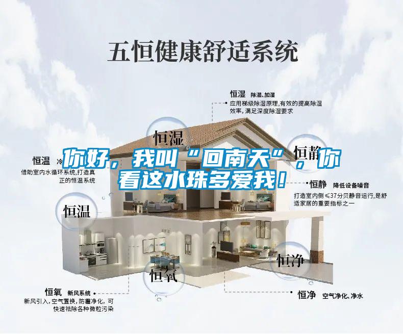 你好，我叫“回南天”，你看這水珠多愛我！
