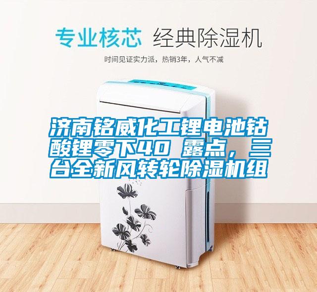 濟(jì)南銘威化工鋰電池鈷酸鋰零下40℃露點(diǎn)，三臺全新風(fēng)轉(zhuǎn)輪除濕機(jī)組