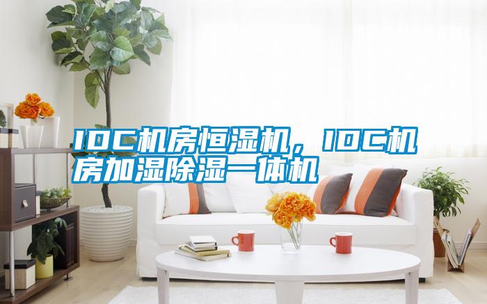 IDC機房恒濕機，IDC機房加濕除濕一體機
