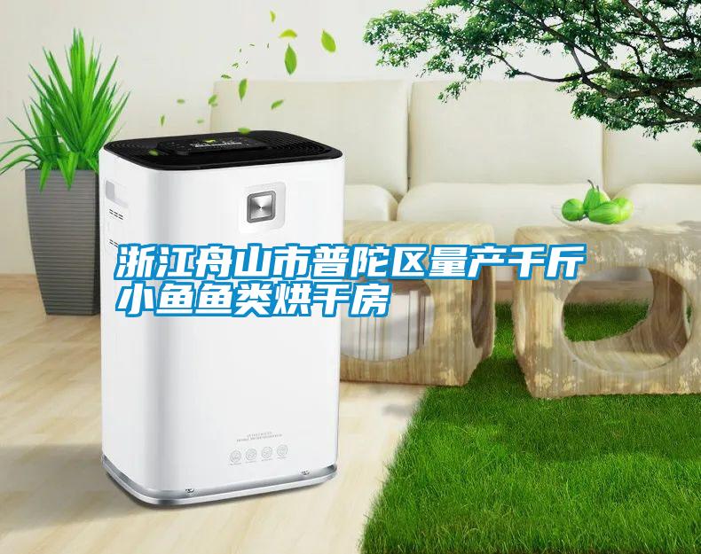 浙江舟山市普陀區(qū)量產(chǎn)千斤小魚(yú)魚(yú)類(lèi)烘干房