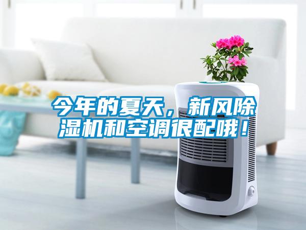 今年的夏天，新風(fēng)除濕機和空調(diào)很配哦！