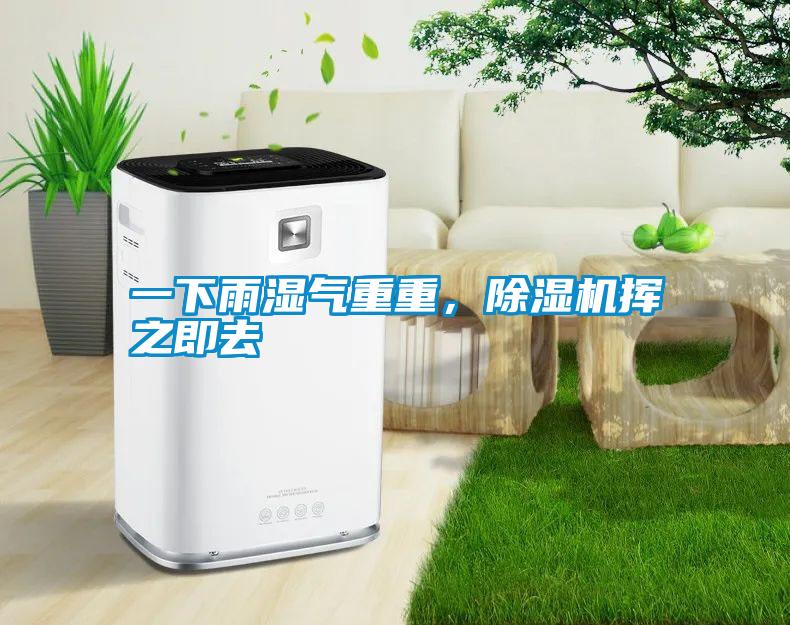 一下雨濕氣重重，除濕機(jī)揮之即去