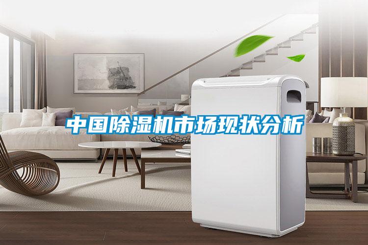 中國(guó)除濕機(jī)市場(chǎng)現(xiàn)狀分析