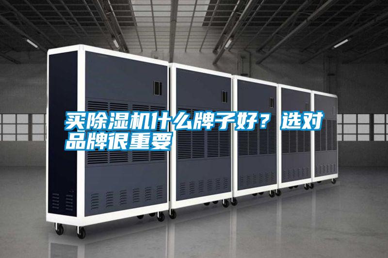 買除濕機什么牌子好？選對品牌很重要