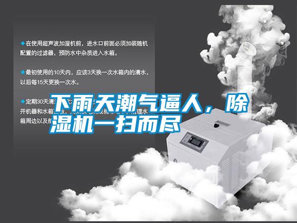 下雨天潮氣逼人，除濕機一掃而盡