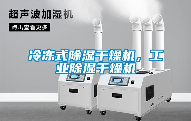冷凍式除濕干燥機(jī)，工業(yè)除濕干燥機(jī)
