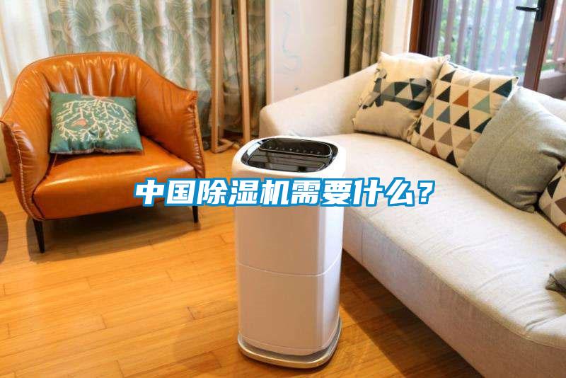 中國除濕機(jī)需要什么？