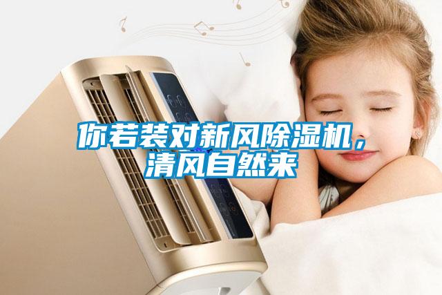 你若裝對(duì)新風(fēng)除濕機(jī)，清風(fēng)自然來
