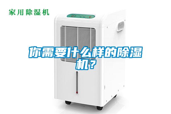 你需要什么樣的除濕機(jī)？
