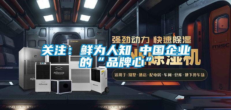 關注：鮮為人知 中國企業(yè)的“品牌心”