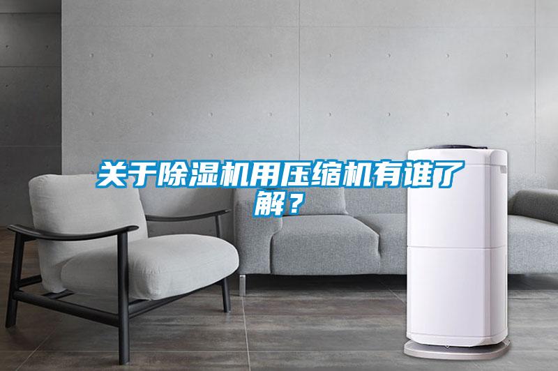 關(guān)于除濕機(jī)用壓縮機(jī)有誰(shuí)了解？