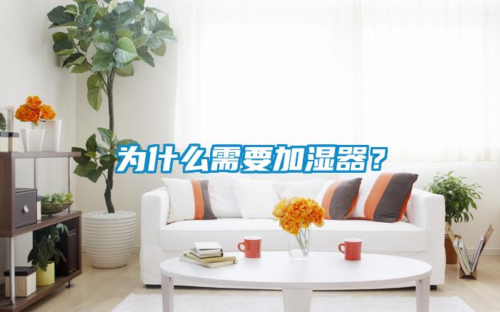 為什么需要加濕器？