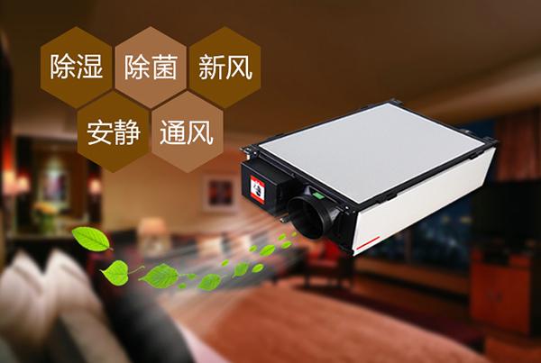你真的了解除濕機嗎？除濕機怎樣運作,怎么選擇除濕機？