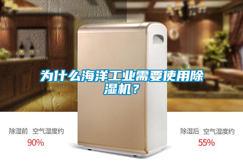 為什么海洋工業(yè)需要使用除濕機(jī)？