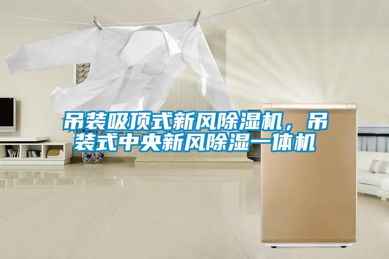 吊裝吸頂式新風(fēng)除濕機(jī)，吊裝式中央新風(fēng)除濕一體機(jī)