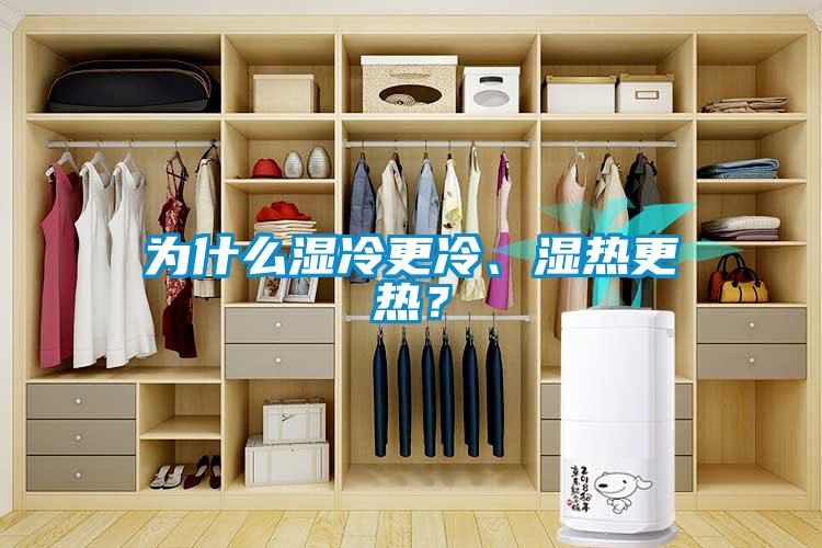 為什么濕冷更冷、濕熱更熱？