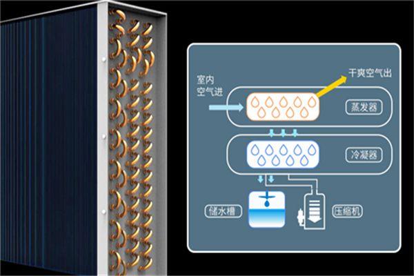 冷庫(kù)消毒用什么好？冷庫(kù)霧化消毒機(jī)