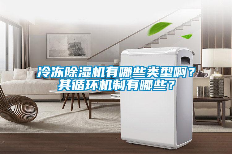 冷凍除濕機(jī)有哪些類型??？其循環(huán)機(jī)制有哪些？