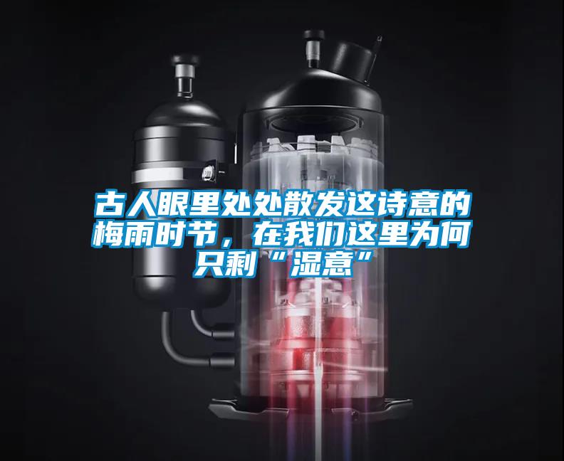 古人眼里處處散發(fā)這詩意的梅雨時(shí)節(jié)，在我們這里為何只剩“濕意”