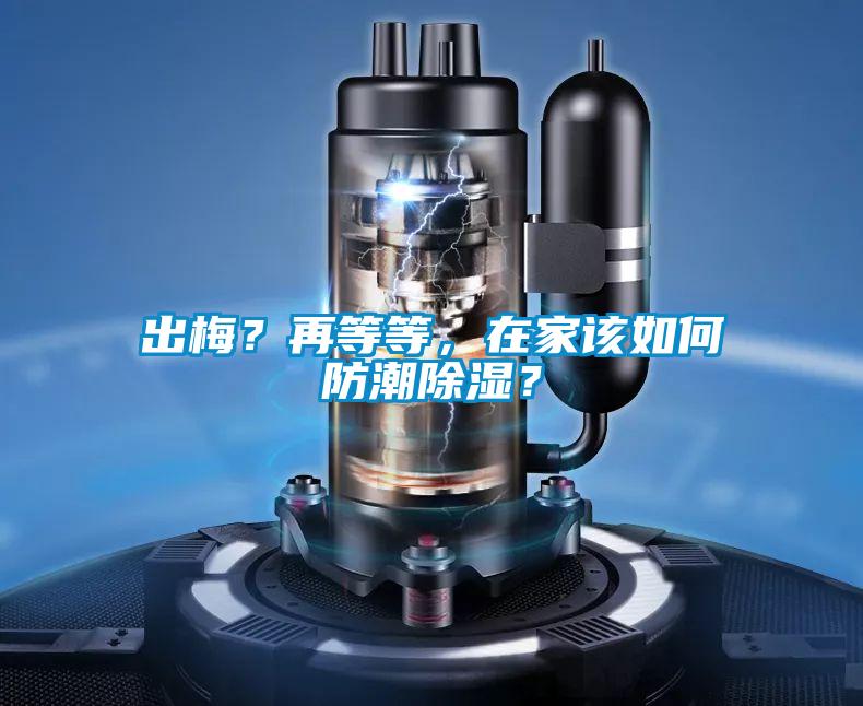 出梅？再等等，在家該如何防潮除濕？