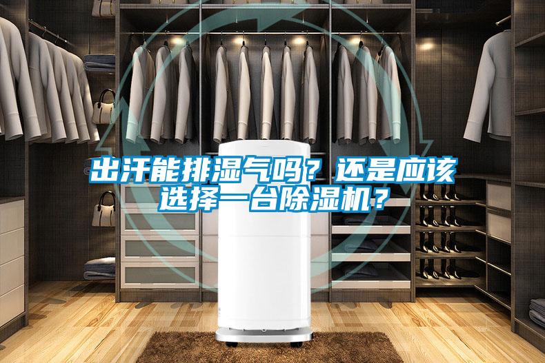 出汗能排濕氣嗎？還是應(yīng)該選擇一臺(tái)除濕機(jī)？