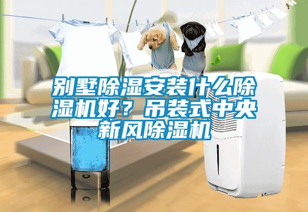 別墅除濕安裝什么除濕機(jī)好？吊裝式中央新風(fēng)除濕機(jī)