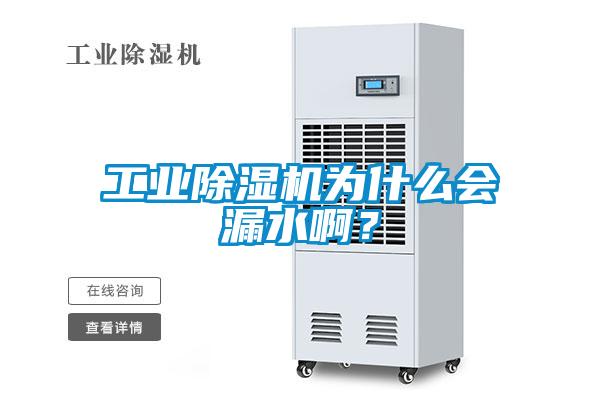 工業(yè)除濕機為什么會漏水啊？