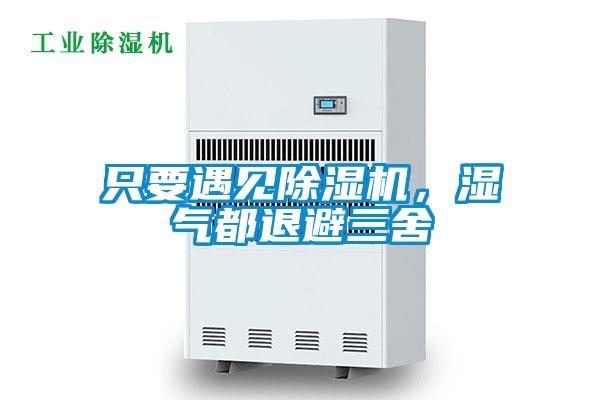 只要遇見除濕機，濕氣都退避三舍