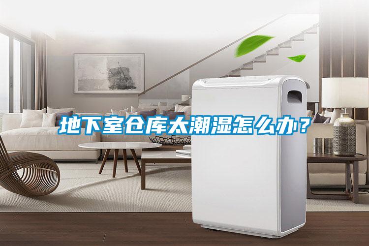 地下室倉(cāng)庫(kù)太潮濕怎么辦？