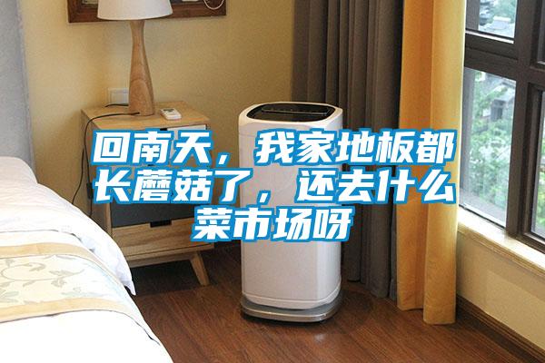 回南天，我家地板都長(zhǎng)蘑菇了，還去什么菜市場(chǎng)呀