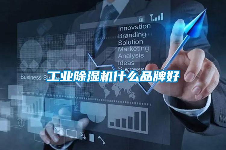 工業(yè)除濕機(jī)什么品牌好