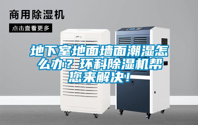 地下室地面墻面潮濕怎么辦？環(huán)科除濕機幫您來解決！