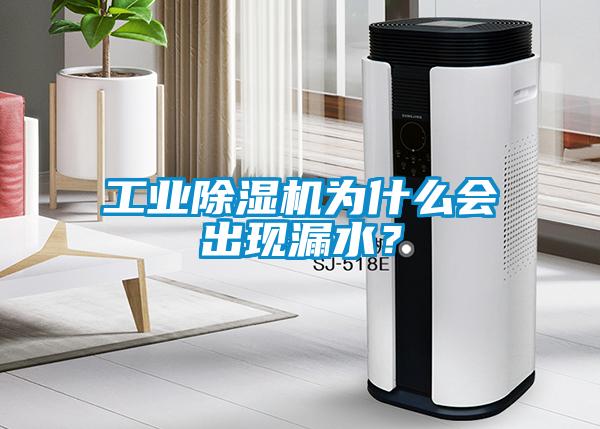 工業(yè)除濕機(jī)為什么會(huì)出現(xiàn)漏水？