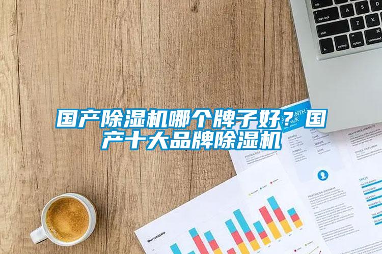 國產(chǎn)除濕機(jī)哪個牌子好？國產(chǎn)十大品牌除濕機(jī)