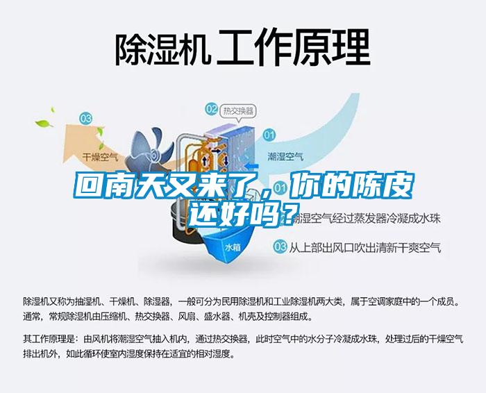 回南天又來了，你的陳皮還好嗎？
