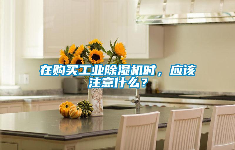 在購(gòu)買工業(yè)除濕機(jī)時(shí)，應(yīng)該注意什么？