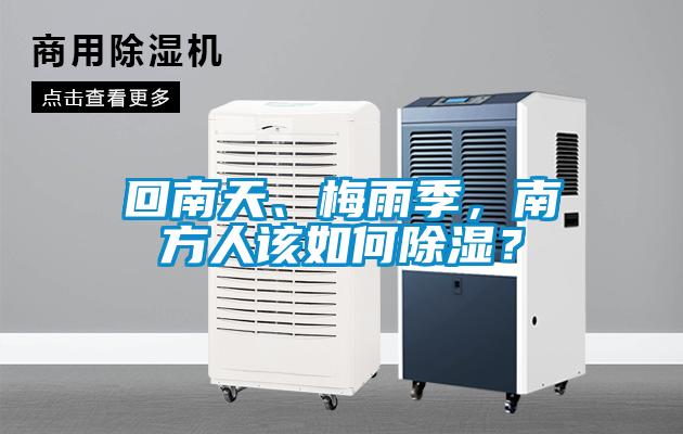 回南天、梅雨季，南方人該如何除濕？