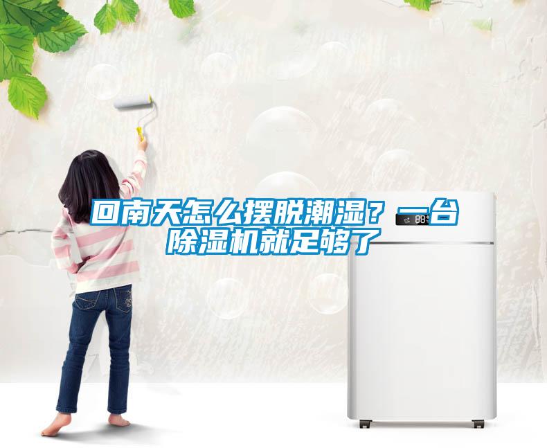 回南天怎么擺脫潮濕？一臺(tái)除濕機(jī)就足夠了