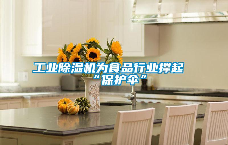工業(yè)除濕機為食品行業(yè)撐起“保護傘”