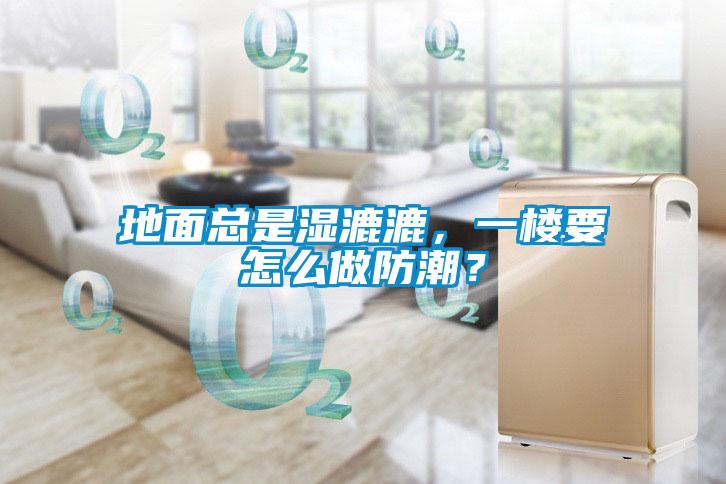 地面總是濕漉漉，一樓要怎么做防潮？