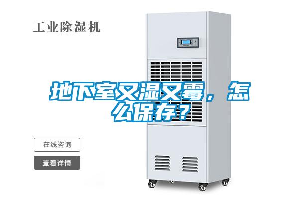 地下室又濕又霉，怎么保存？