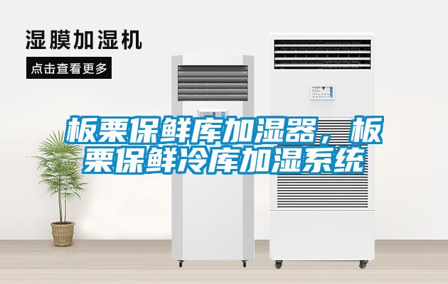 板栗保鮮庫加濕器，板栗保鮮冷庫加濕系統(tǒng)