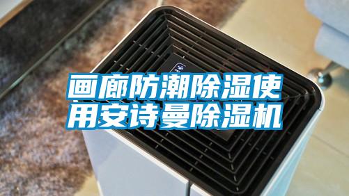 畫(huà)廊防潮除濕使用安詩(shī)曼除濕機(jī)