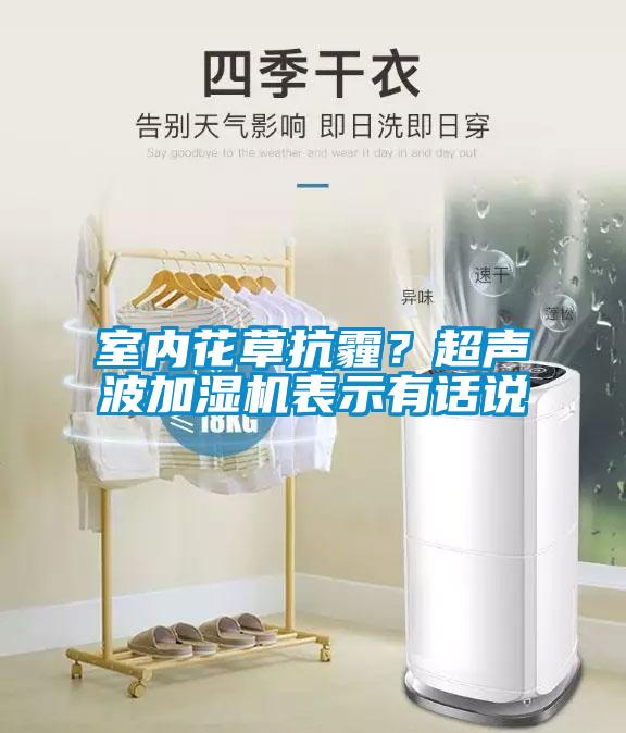 室內(nèi)花草抗霾？超聲波加濕機(jī)表示有話說