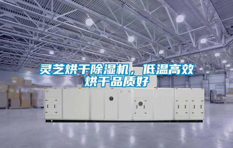 靈芝烘干除濕機(jī)，低溫高效烘干品質(zhì)好