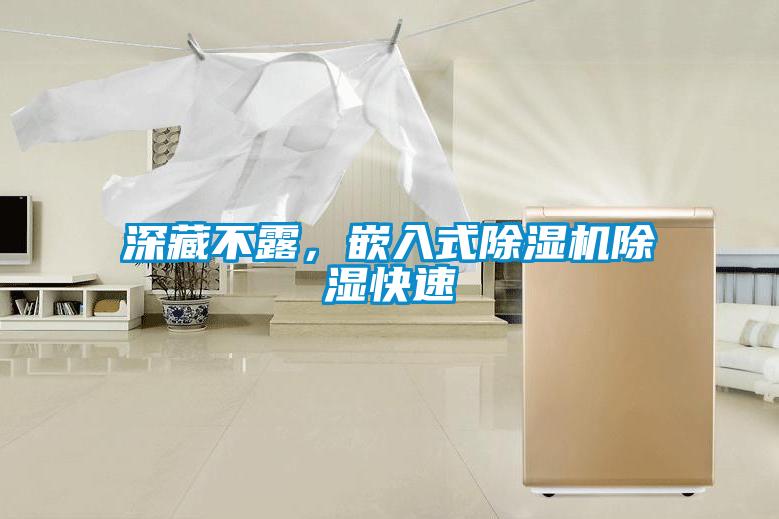 深藏不露，嵌入式除濕機除濕快速