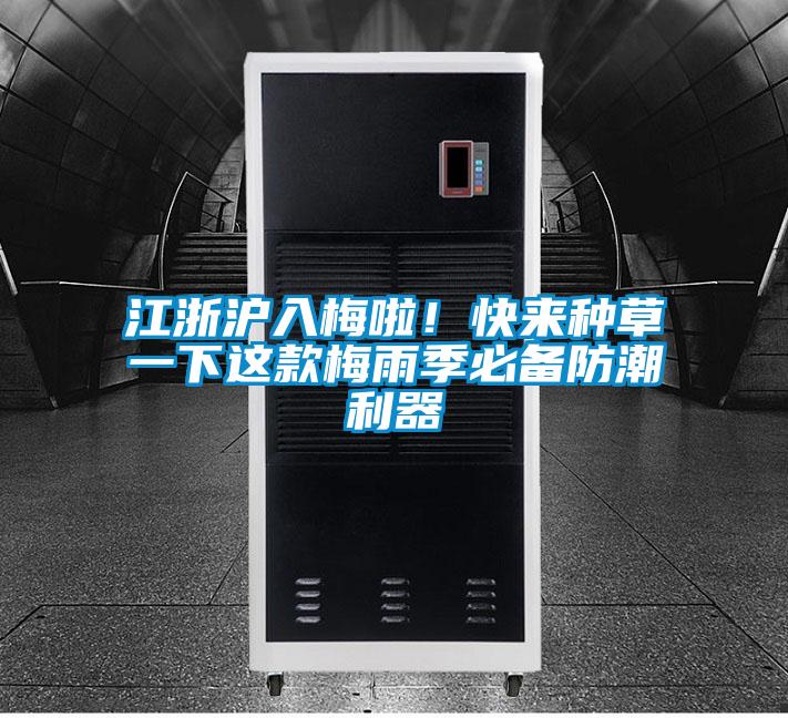 江浙滬入梅啦！快來種草一下這款梅雨季必備防潮利器