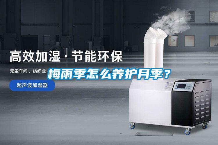 梅雨季怎么養(yǎng)護(hù)月季？
